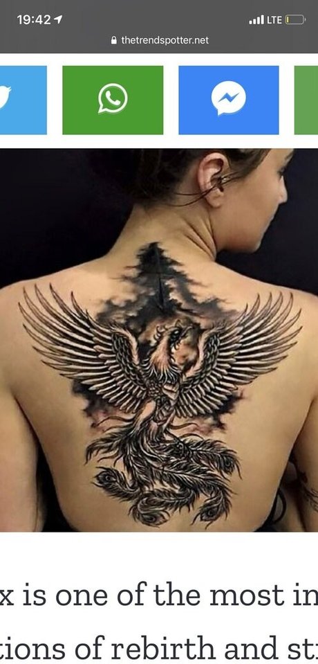 mncookies naked only fans