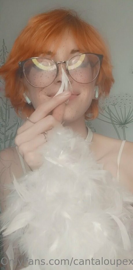 cantaloupexo onlyfans leak xxx