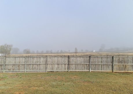 toniclust leak onlyfans