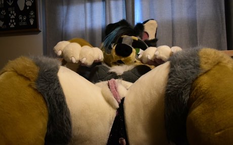 crownmutt only fans pictures