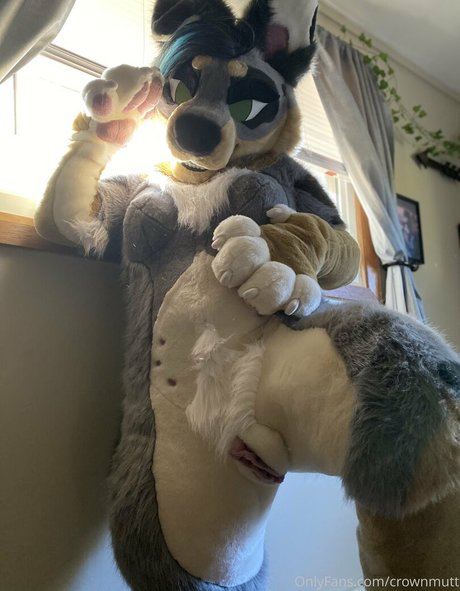 crownmutt new onlyfans leaks