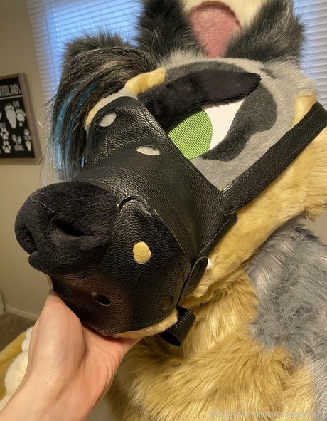 crownmutt leak onlyfans nude