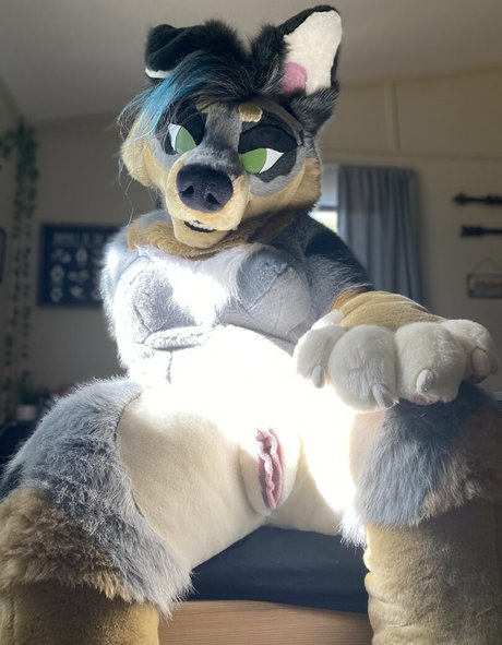 crownmutt leak only fans