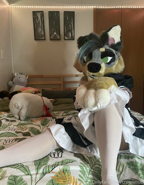 crownmutt only fans naked