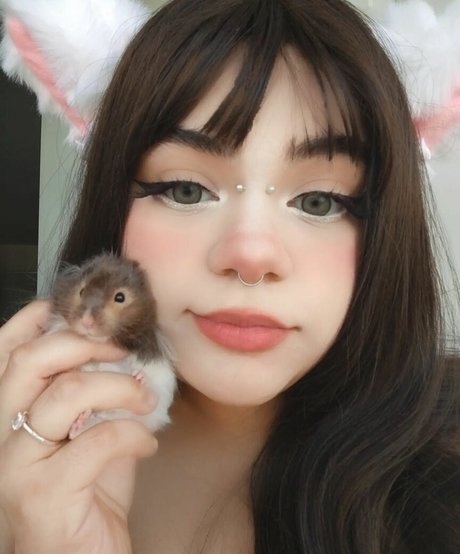 JoannaT4J__Chubbunny_ onlyfans leaked