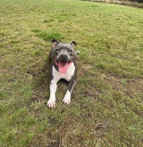 alexabrookexx onlyfans full