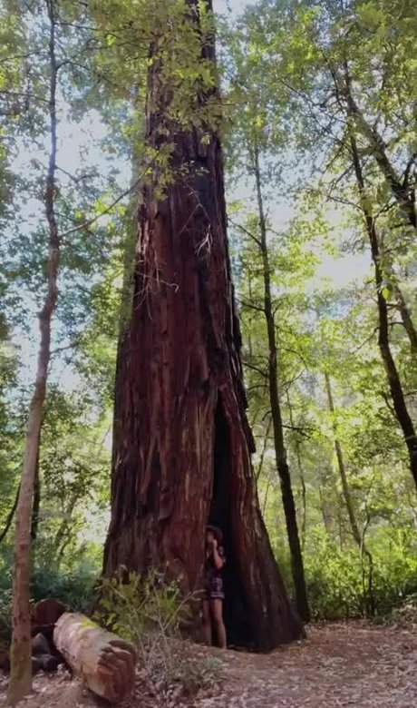 Jenners onlyfans model