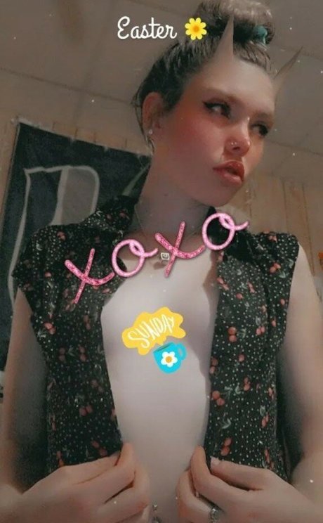 Dixicamo01 onlyfans model images