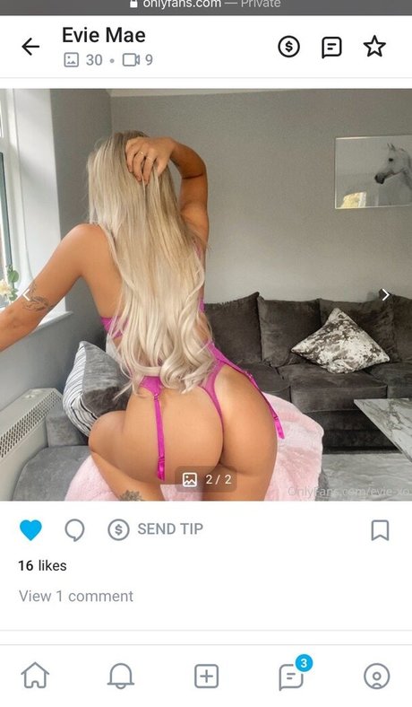 evie xo new onlyfans