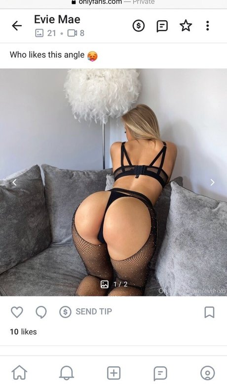 evie xo onlyfans.