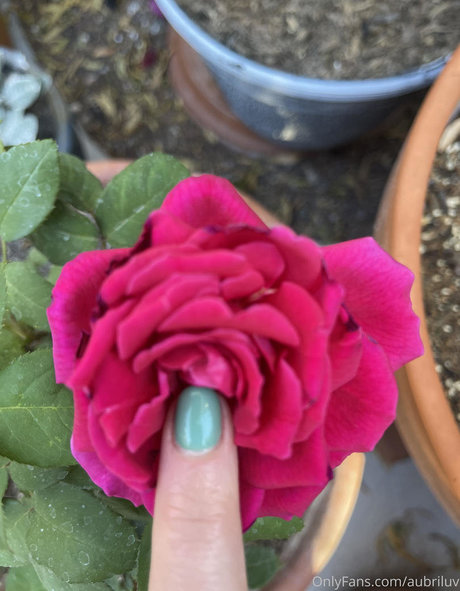 aubriluv onlyfans leaks naked