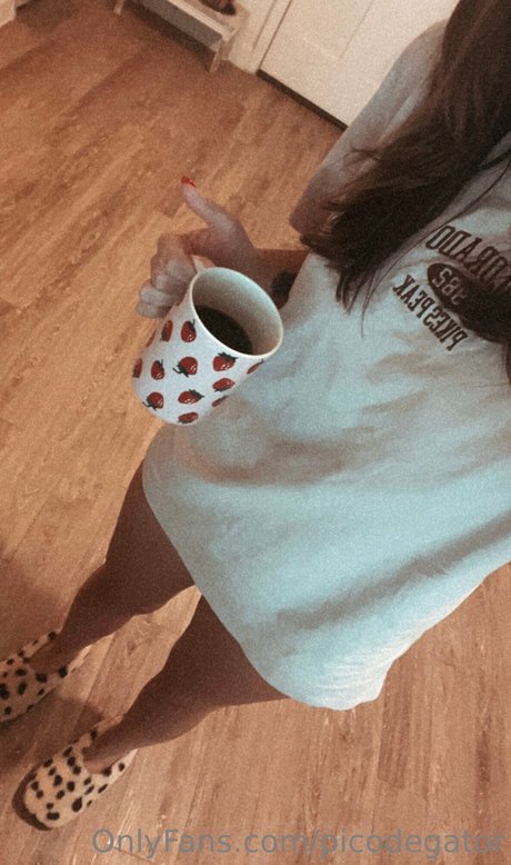 Picodegator feet onlyfans