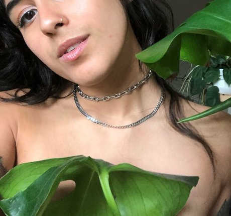 Lenamarisol onlyfans leaked