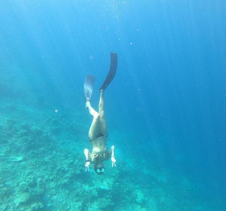 Sarah Connor Profile pic