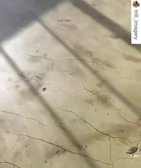 Ela Pasion onlyfans leaks