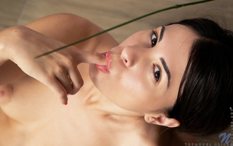 lingerie onlyfans art porn visuals