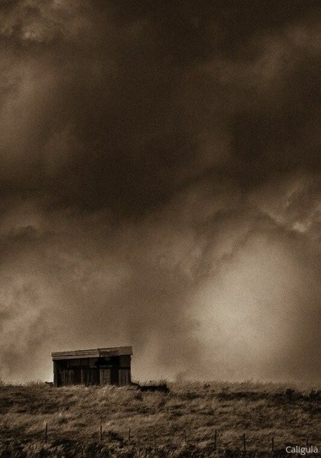 xxxcaligulaxxx onlyfans images