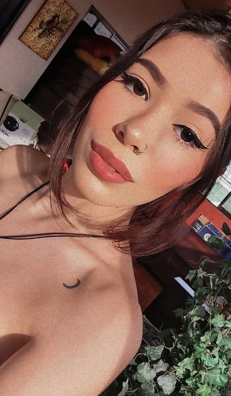 Anmongero tits onlyfans