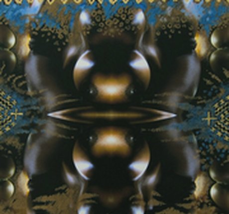 Felina Wood porn onlyfans