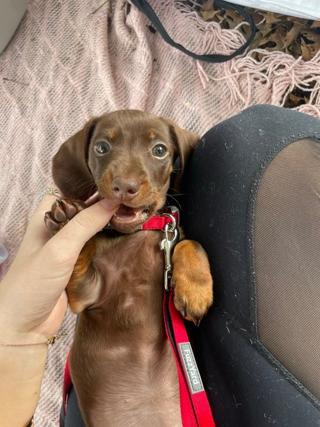 Alliyah onlyfans free content