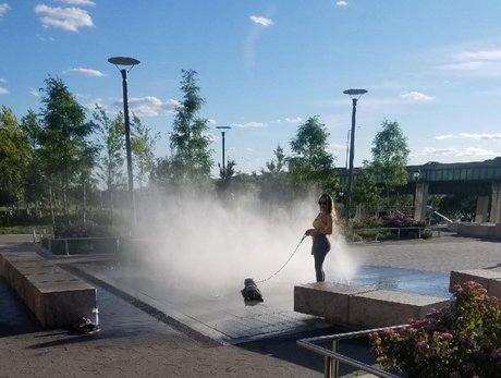 Dajin onlyfans leaka