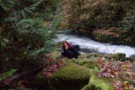 Bella Tha Killa onlyfans