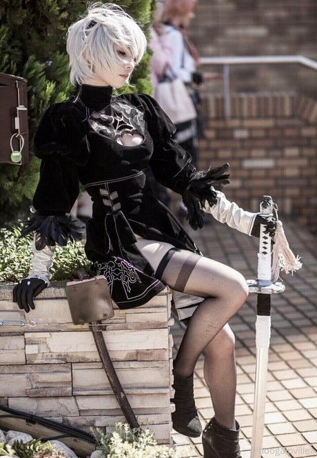 Boogainvillea Profile pic