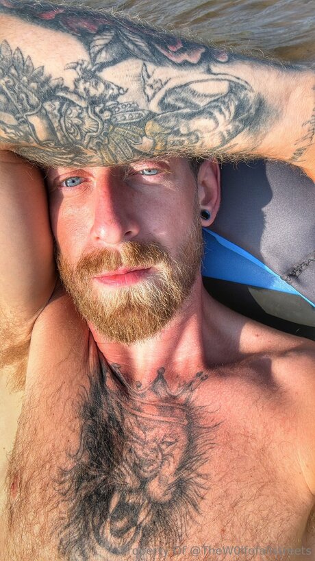 Thew0lfofallstreets onlyfans model photos