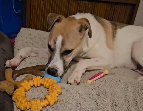 Alexablu00 onlyfans porn leaked