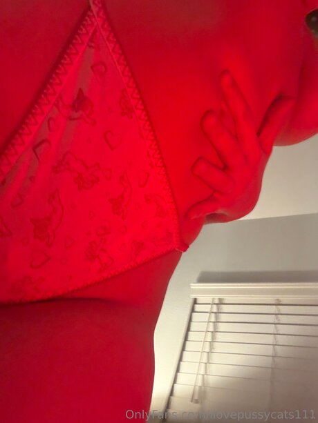 Ilovepussycats111 onlyfans porn