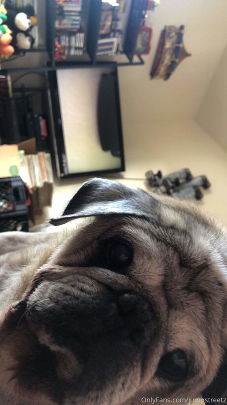 Jumpstreetz onlyfans sex