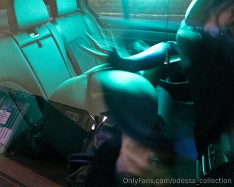Odessa Collection onlyfans nide
