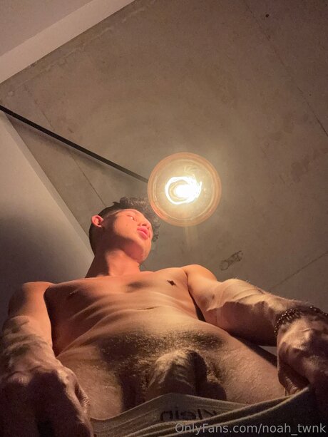 Noah Twnk leaked onlyfans pictures