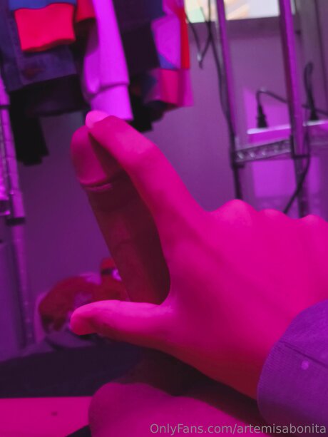 Artemisabonita sex tape onlyfans