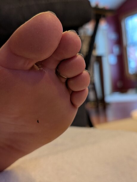Barefoot Bunny B porn only fans