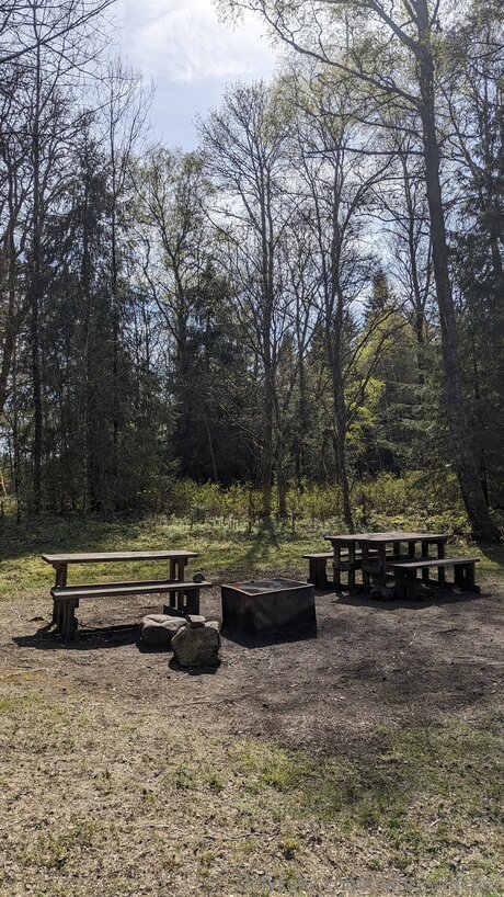 Night Switcher leaked onlyfans nude