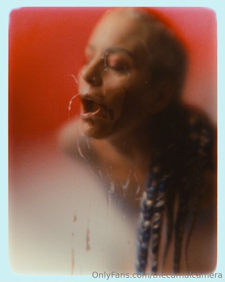 Thecarnalcamera onlyfans leaks