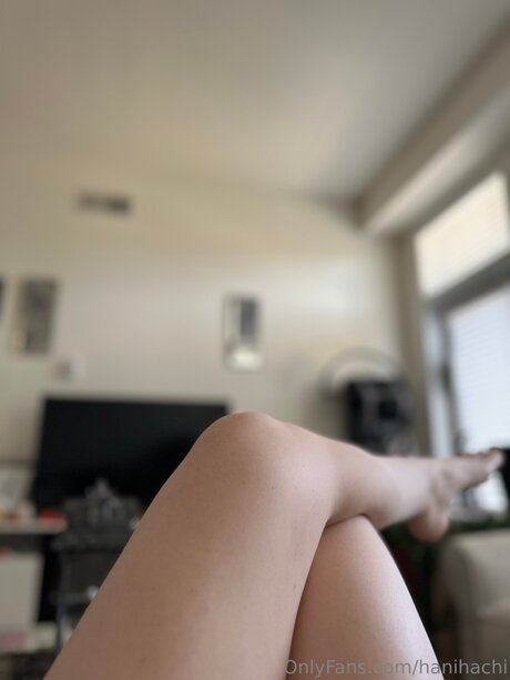 Hanihachi onlyfans gratis