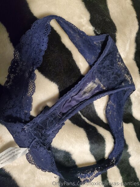 Foxiccanvas Panties onlyfans nsfw