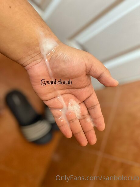 Sanbolocub xxx onlyfans