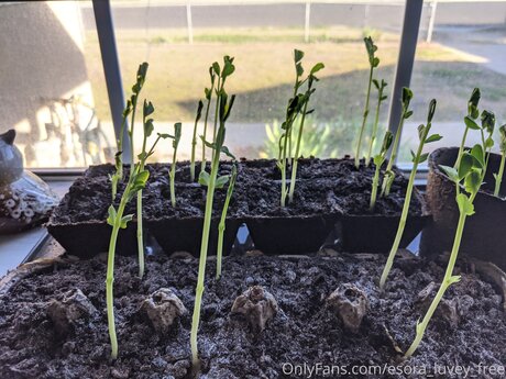 Esora Luvey Free onlyfans naked leaked