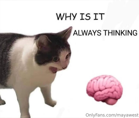 Mayawestfree onlyfans leaked