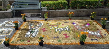 Alexrasec free onlyfans porn