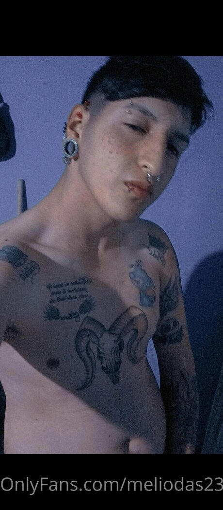 Meliodas2309 onlyfans post