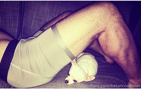 Thegreatalex onlyfans leak nudes