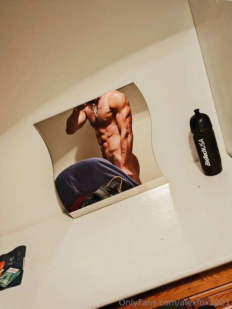 Alexfox2021 onlyfans