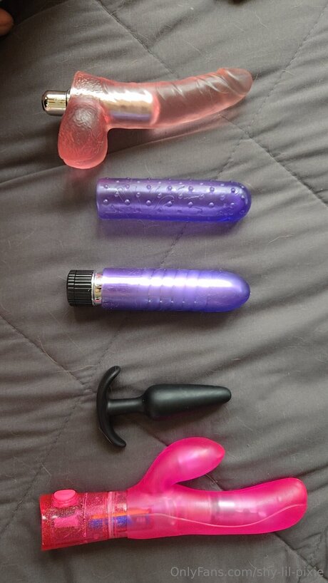 Shy Lil Pixie onlyfans nudes