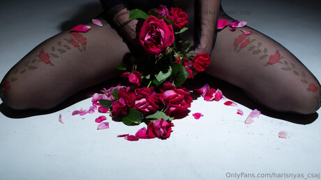Harisnyas Csaj naked onlyfans