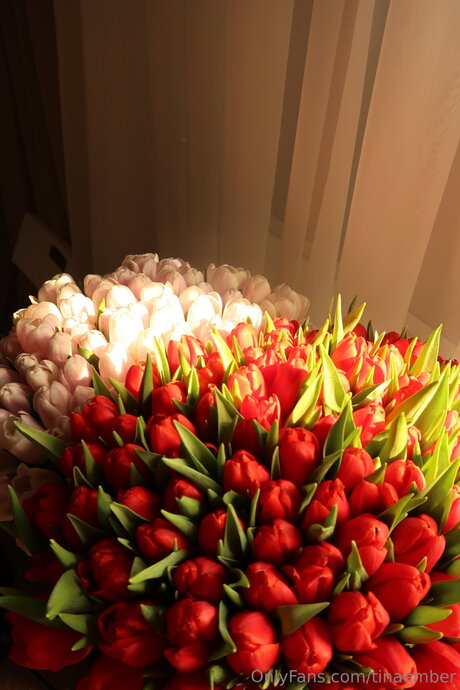 Tinaember nude onlyfans leak