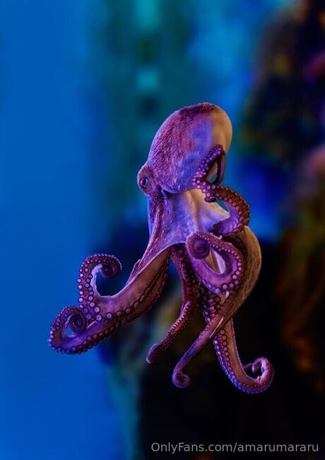 Amarumararu onlyfans leaked dirtyship